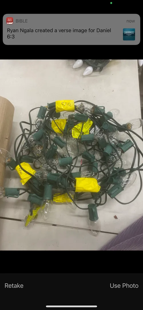 25' Green Wire Clear C9 String Lights