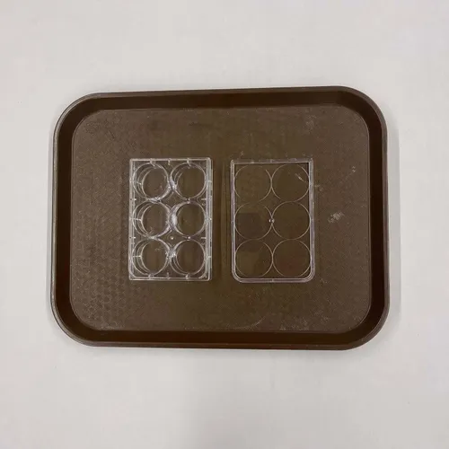 6 Well Cell Culture Plate - MOMD113