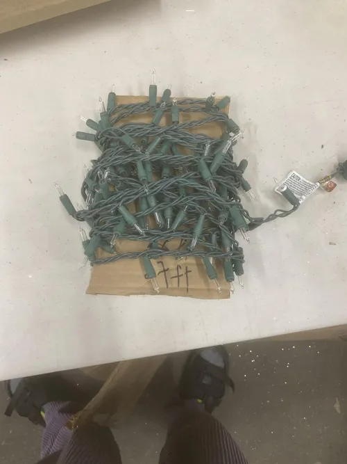 27' Green Wire Clear String Lights