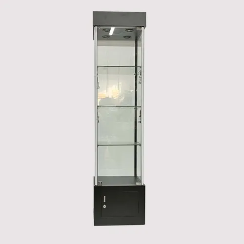 Glass Display Case with Built-In Lighting