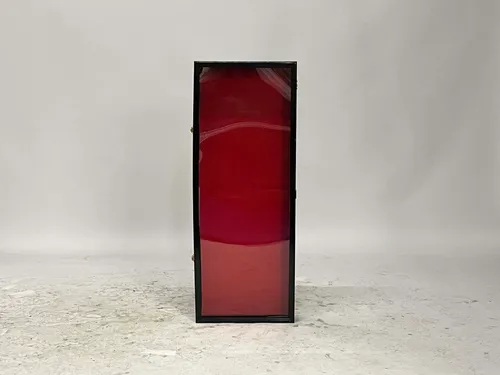 Black & Plexiglass Weapons Case with Red Velvet Backing