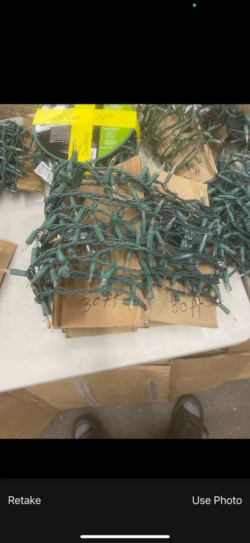 30' Green Wire Clear String Lights