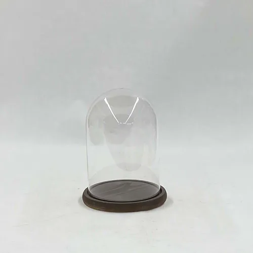 Glass Cloche Dome - MOMD23