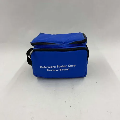 Blue Cooler Bag - A920