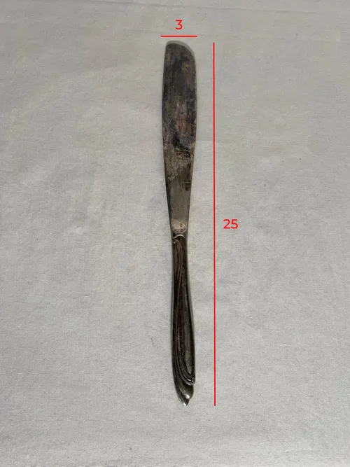 Coltello da pesce