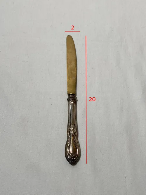 Coltello da portata bicolore