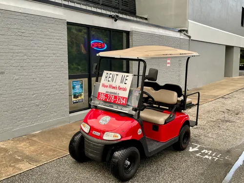 4 Seater Golf Cart