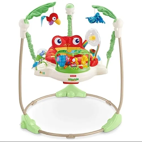 Jumperoo Activity Center - May Vary