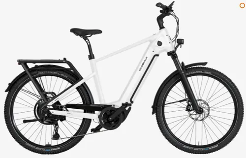 E-Bike Verleih – Aschaffenburg - Velo de Ville SEB 990 Pro 53cm