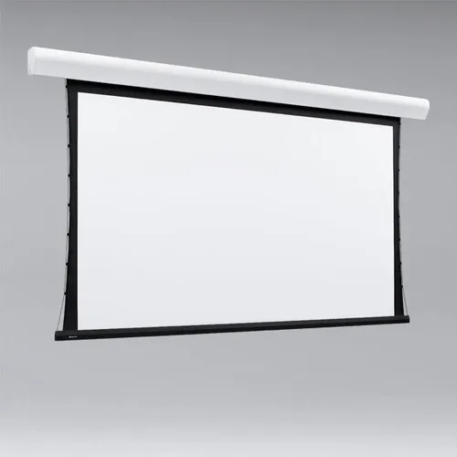 Projector & Screen