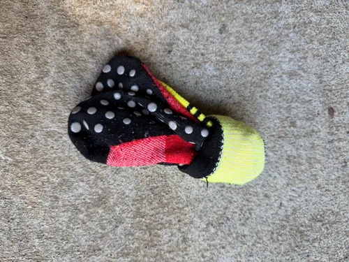 Youth: , Yellow with Black stripes and red foot/with grippies, size Youth