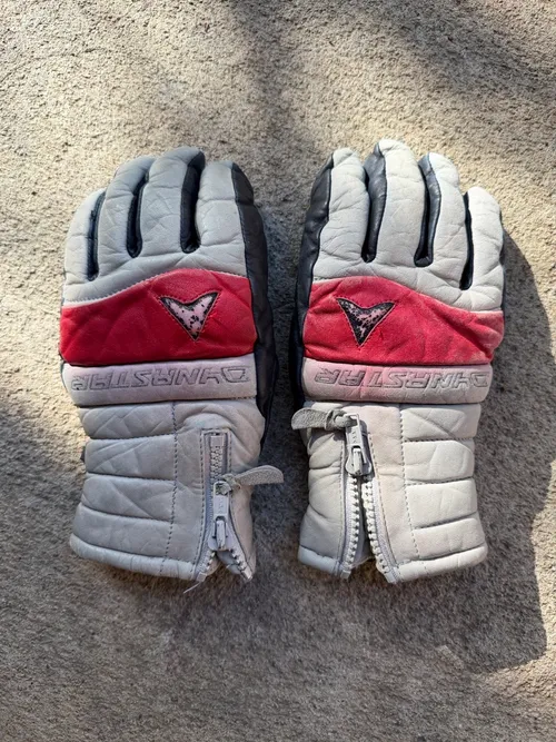 Adult Womens S: Dynastar, Grey with red stripe