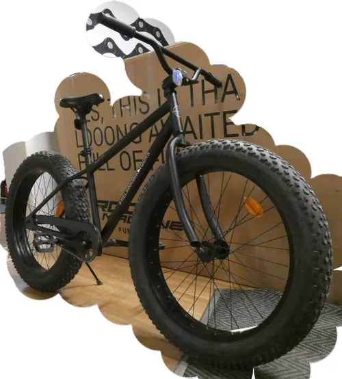 Fat Bike