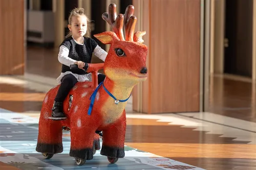 Noleggio Renna da cavalcare elettrica H120