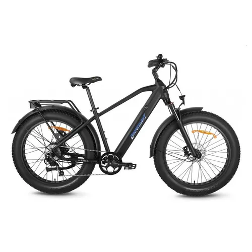 FAT WHEEL E-BIKE