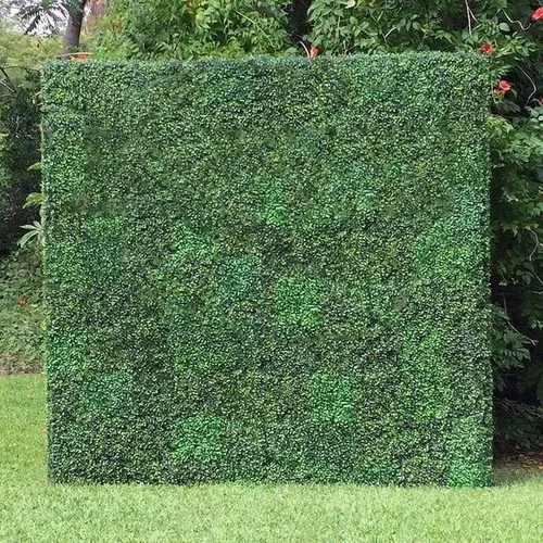 8 X 8 Boxwood Wall 