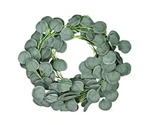 Eucalyptus Ring