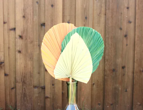Various Dried Palm Leaves
