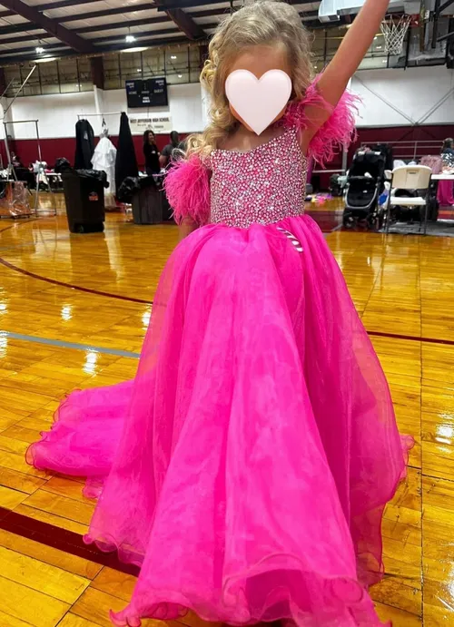 Long Pink Feather Gown | Size: 2