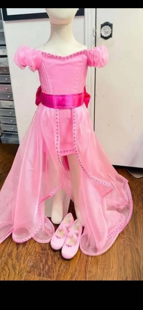 Princess in Pink | Size: 4/6