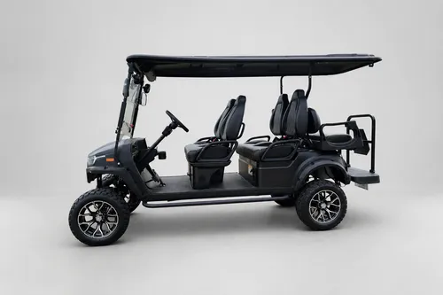 6 Passenger LSV Golf Cart 