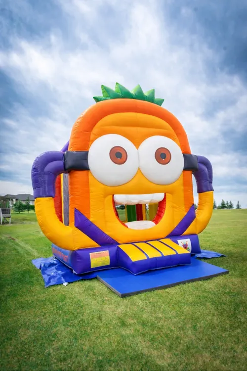 Mayhem Bouncer with Obstacles