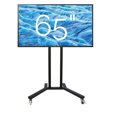 65" TV On Movable Stand