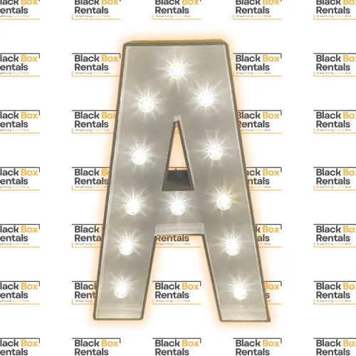 Single 4FT Letter 