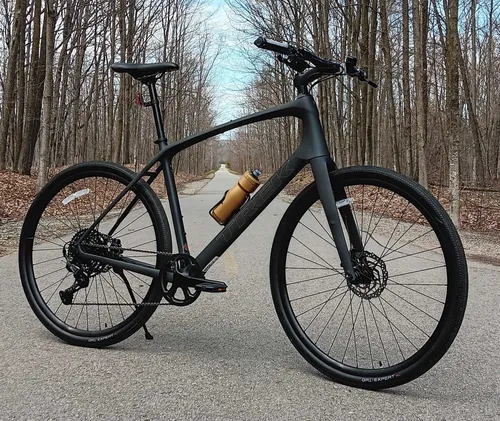 Carbon Hybrid/Fitness Trek FX 4