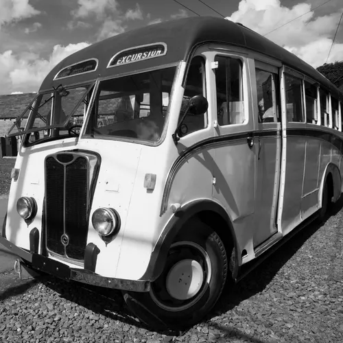 Shuttle service daily from (November 1st thru May 1st) 1 - 6 passengers. Rate per person. Reserve this tour with 30% down at checkout! (Minimum of 4 tour participants required to book shuttle)