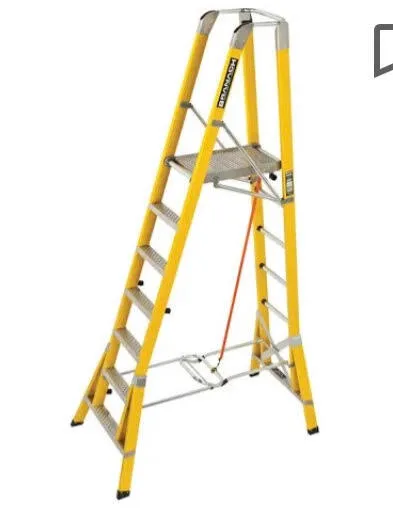 Branach Ladder - 2.0m Platform