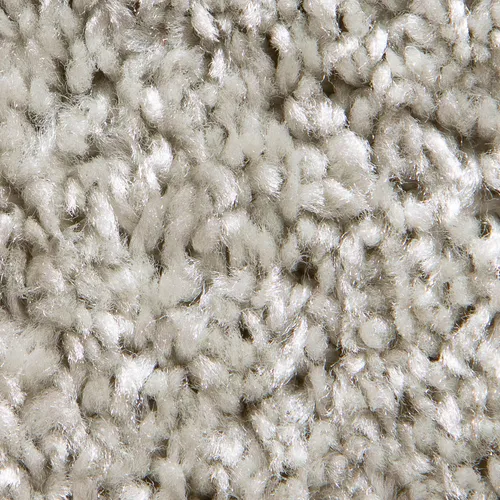 Aluminum Carpet 10 x 30
