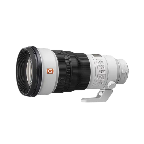 Sony FE 300mm F2.8 GM OSS