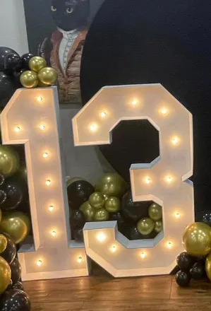 13 Marquee Numbers - 4 ft