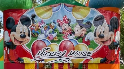 Mickey Mouse Banner