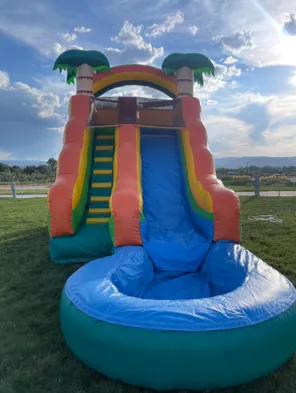 Jungle Waterslide 15 (H) x 24 (L)