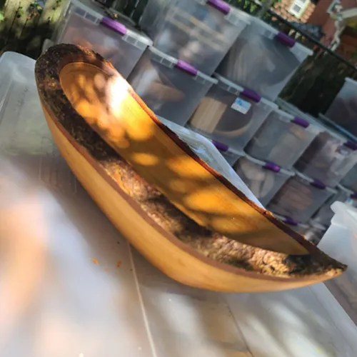 WD13 :: Bark Edge Boat Shaped Wooden Bowl 15