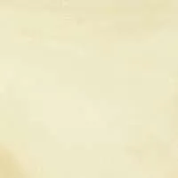 LN39S Vanilla :: Sheer Organza