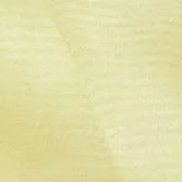 LN39S Gold :: Sheer Organza