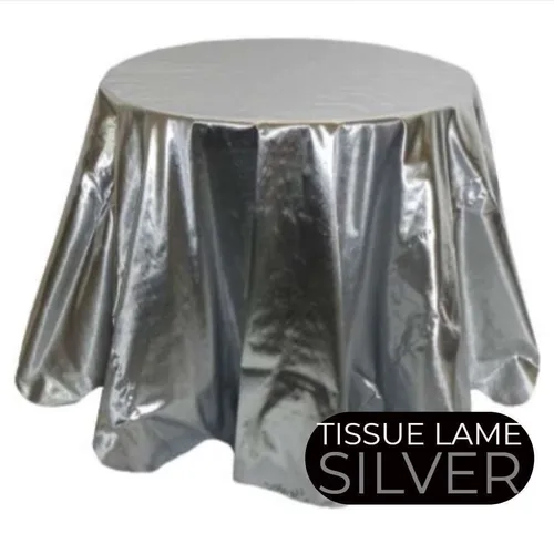 LN41S Silver :: Metallic Lame