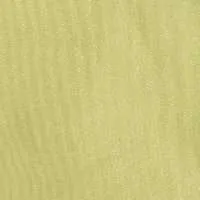 LN39S Sage :: Sheer Organza