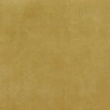 LN42S Gold :: Velvet