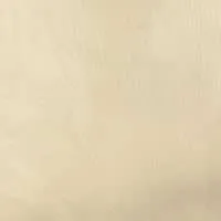 LN39S Cashmere :: Sheer Organza