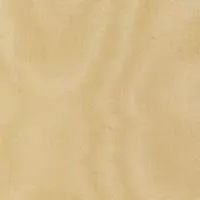 LN39S Rustic Gold :: Sheer Organza
