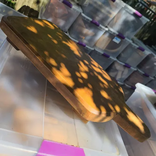 WD34 :: Rustic Wooden Serving Riser Paddle 22