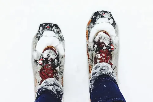 Raquettes d'hiver (paire) - circonflexe