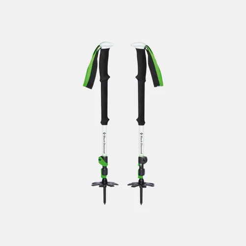 Bâtons télescopiques