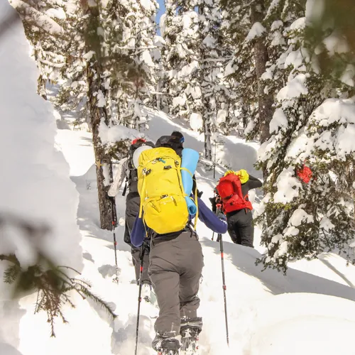 Ensemble de ski Haute Route Adulte - Excursion guidée en skis