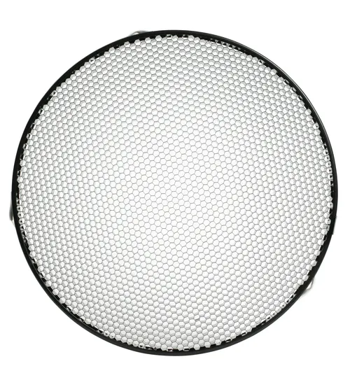 Profoto 10° Grid