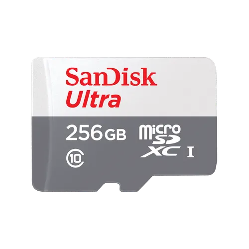 MicroSD 256GB